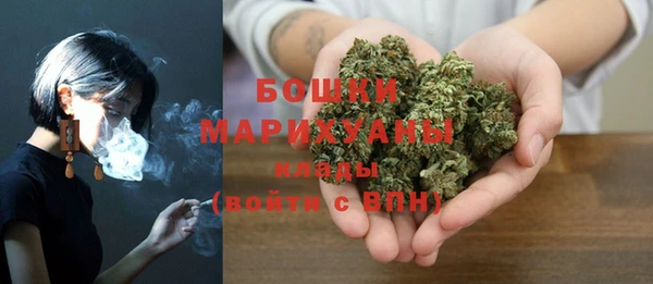 гидра Горно-Алтайск