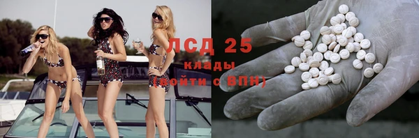 гидра Горно-Алтайск