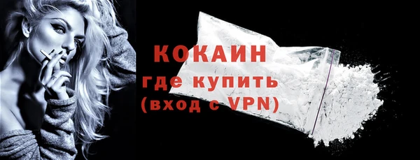 гидра Горно-Алтайск