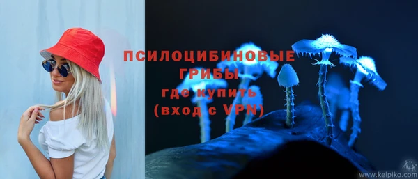 гидра Горно-Алтайск