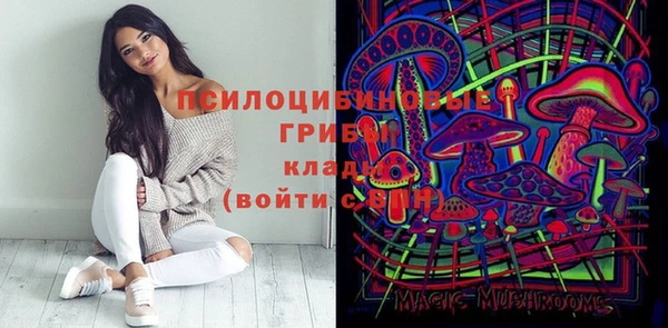 гидра Горно-Алтайск